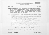 Image Associated With the Occurrence